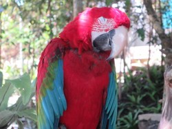Bertemu Burung-Burung Cantik di Bandung