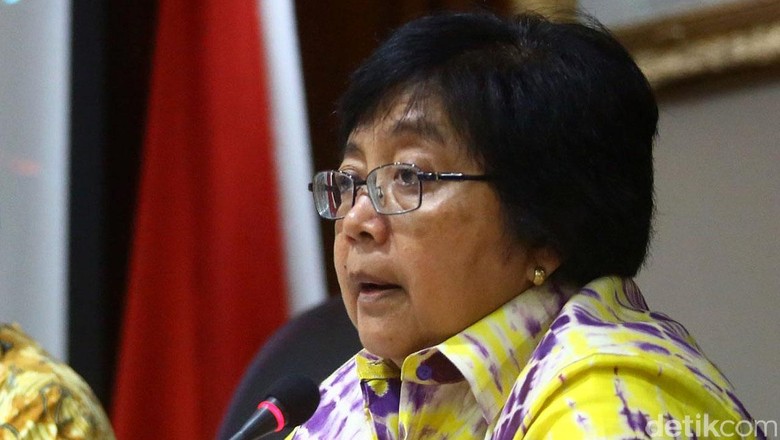 Menteri LHK Laporkan Kebakaran Hutan dan Rencana Festival Burung ke Jokowi