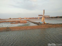 Cara Pemerintah Bereskan 3.700 Ha Lahan Garam Nganggur di NTT