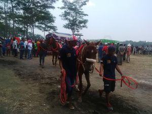 Bupati Irsyad Ingin Bangun Sport Center di Lahan Bekas Tambang