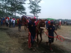 Bupati Irsyad Ingin Bangun Sport Center di Lahan Bekas Tambang