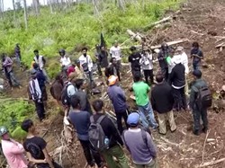 Badan Restorasi Gambut Rilis Video Sidak ke Lahan RAPP di Riau: Mereka Tak Kooperatif