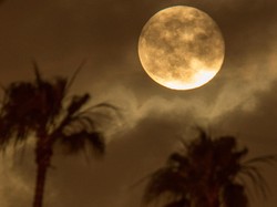 Besok Subuh, Bulan dan Venus Tampak Dekat di Langit Indonesia