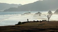 Bukit Merese dan Pohon Galau di Lombok