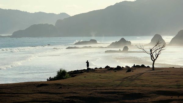 Bukit Merese dan Pohon Galau di Lombok