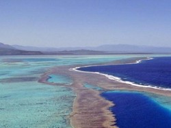 Peselancar Payung Australia Tewas Diserang Hiu