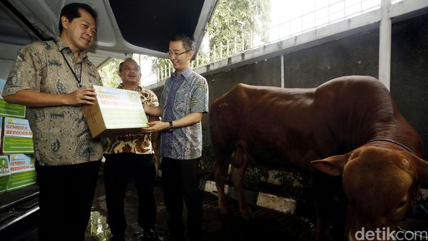 ACC Salurkan 10.430 Paket Superkurban