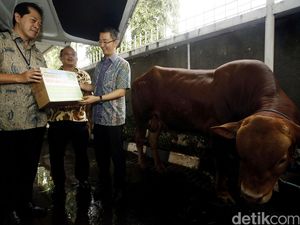 ACC Salurkan 10.430 Paket Superkurban