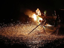 Tradisi Unik di Taiwan, Tangkap Ikan Pakai Obor