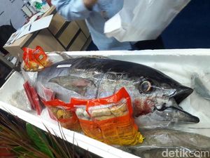 Ikan Tuna Seberat Orang Dewasa Ini Dijual Rp 10 Juta