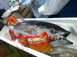 Ikan Tuna Seberat Orang Dewasa Ini Dijual Rp 10 Juta