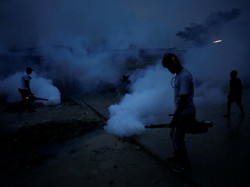 AS Imbau Warganya Tidak Pergi ke Indonesia Dikarenakan Virus Zika