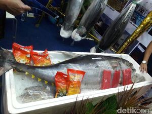 Ini yang Bikin Ongkos Angkut Ikan Timur-Barat Indonesia Mahal