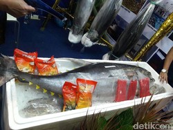Ini yang Bikin Ongkos Angkut Ikan Timur-Barat Indonesia Mahal