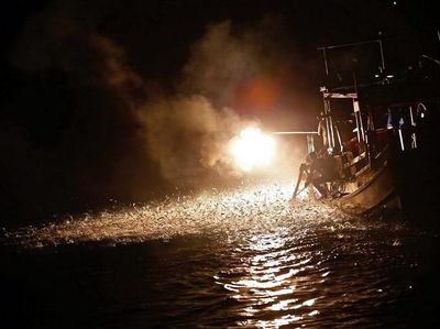 Saktinya Nelayan Taiwan, Menjala Ikan Pakai Api!