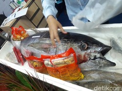 Susi Dukung Perindo Kembangkan Kawasan Perikanan Muara Baru