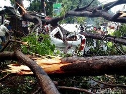 BMKG: Angin Kencang di Jabodetabek karena Transisi Musim