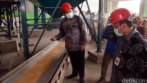 Mendes Kunjungi Pabrik Penggilingan Beras di Banyuasin