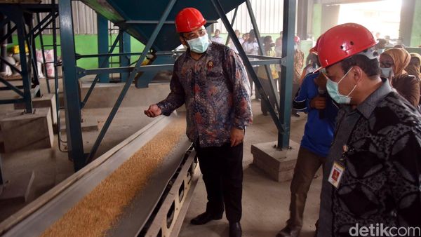 Mendes Kunjungi Pabrik Penggilingan Beras di Banyuasin