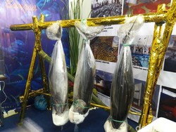 Begini Cara Agar Realisasi Tangkapan Tuna Bisa Capai Kuota