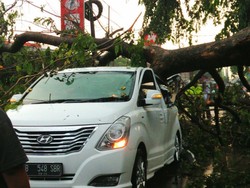Hyundai H-1 Ditimpa Pohon Tumbang di Tanah Baru Depok