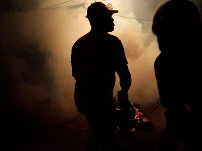 Dunia Waspada Virus Zika