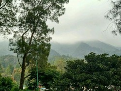 Weekend, Asyiknya Liburan ke Kebun Raya Cibodas