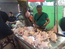 Harga Daging Ayam Naik Rp 5.000/Ekor