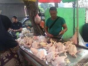 Harga Daging Ayam Naik Rp 5.000/Ekor Harga Daging Ayam Naik Rp 5.000/Ekor