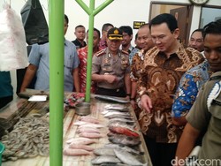 Ahok Sumbang Daging 7.000 Kg untuk Perayaan Idul Adha