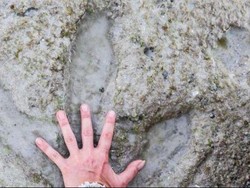 Inilah Kawasan di Australia dengan Jejak Dinosaurus