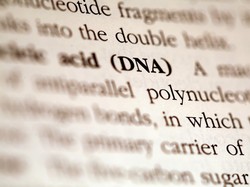 Keren! Polri Bakal Bangun Bank Data DNA, Permudah Usut Kekerasan Seksual