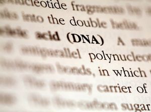 Keren! Polri Bakal Bangun Bank Data DNA, Permudah Usut Kekerasan Seksual Keren! Polri Bakal Bangun Bank Data DNA, Permudah Usut Kekerasan Seksual