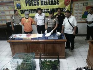 Diamankan Polisi, Penjual Satwa Langka Berdalih Baru Pertama Kali Bertransaksi