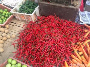 Mendag: Harga Cabai di Jakarta Paling Tinggi