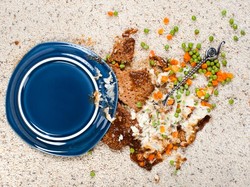 Meski Baru Jatuh 5 Detik, Terbukti Makanan Sudah Tak Lagi Aman Dikonsumsi