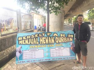 Bisnis Sapi Jelang Idul Adha, Modal Rp 450 juta Omzet Capai Rp 650 juta