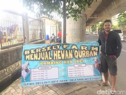 Jelang Idul Adha, Banyak Orang Mendadak Jualan Sapi