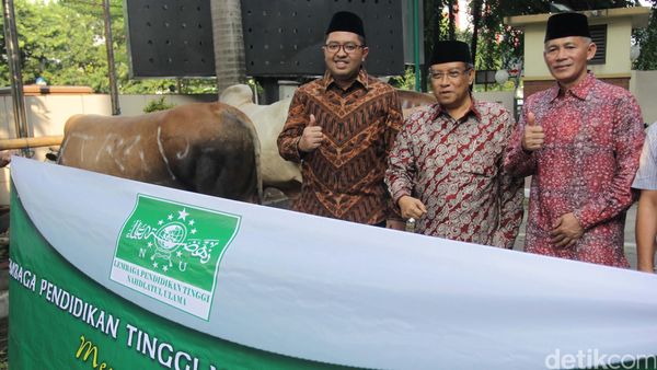 PBNU Salurkan Hewan Kurban