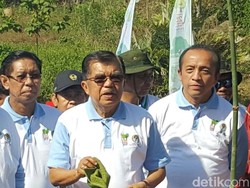 Wapres Canangkan Gerakan Menanam Bambu Nasional di Gowa Sulsel