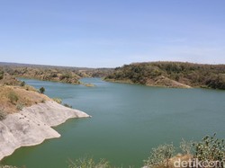 Selain untuk Irigasi, Ini Potensi Lain Waduk Bajulmati Banyuwangi