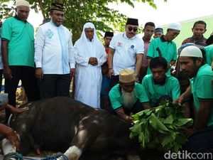 Demokrat Potong 59 Sapi Kurban di Raja Ampat, Warga Berdoa untuk SBY