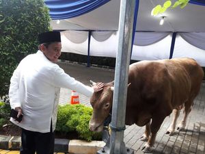 BI Prediksi Neraca Perdagangan Agustus Surplus