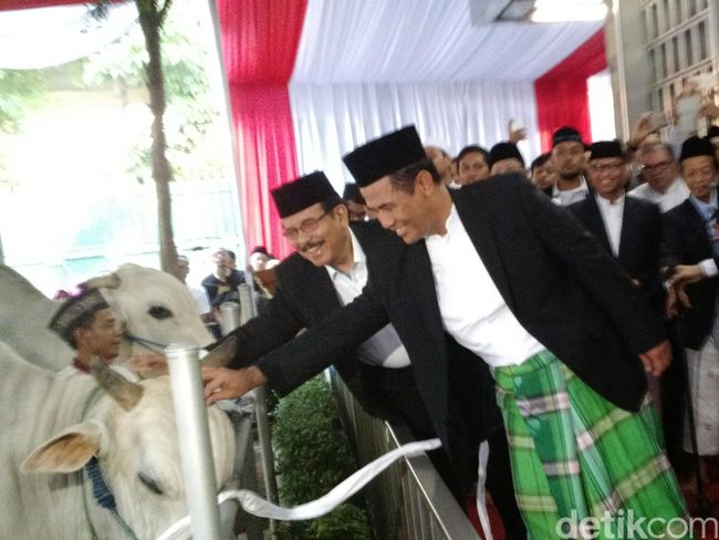 Tak Ada Pembagian di Masjid Istiqlal, Hewan Kurban Akan 