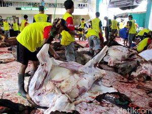 Video: Jeroan Vs Kulit Sapi, Mana Lebih Sehat?