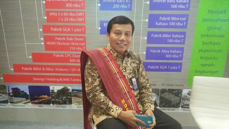 BUMN Ini Siap Kelola Tambang Emas Freeport di Papua