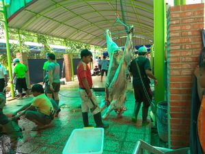 Kata Dispangtan Bandung soal Cara Sehat Kemas Daging Kurban