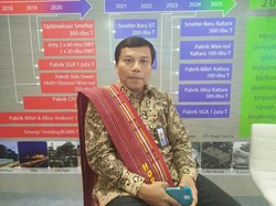 RI Kaya Bauksit, Tapi Pabrik Aluminium Masih Impor Bahan Baku