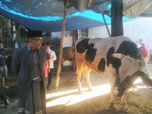 Kang Emil: Dilarang Buang Limbah Hewan Kurban ke Sungai dan Got!