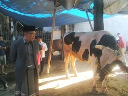 Kang Emil: Dilarang Buang Limbah Hewan Kurban ke Sungai dan Got!